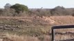 Battle at Kruger