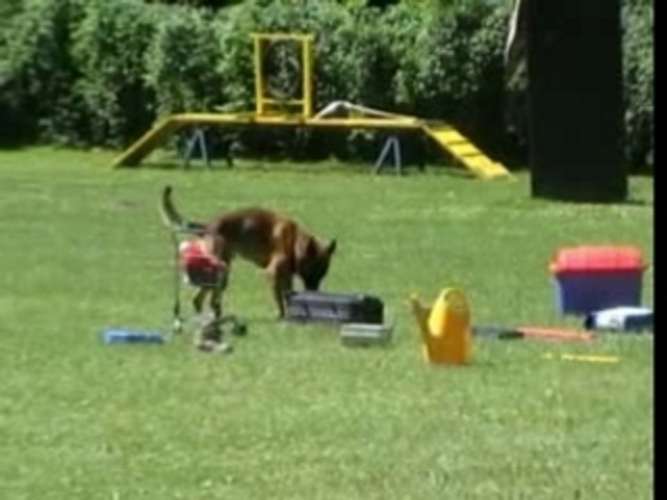 BH DHM 2007 Bach-Sprengstoffsuche