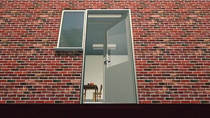 Fox attacks one month old baby, biting off his finger