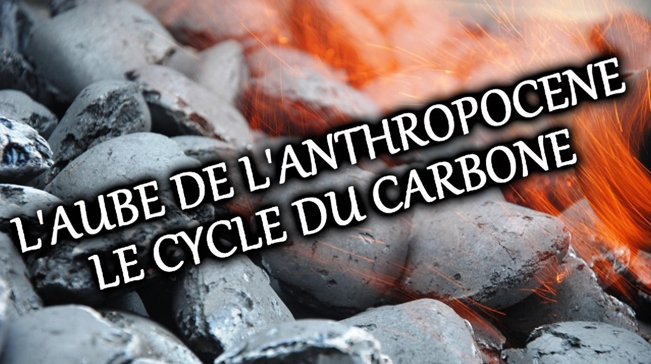 PALÉOWORLD 13 - L'AUBE DE L'ANTHROPOCENE : LE CYCLE DU CARBONE
