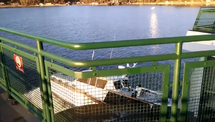 Un ferry percute un petit bateau qui lui grille la priorité.