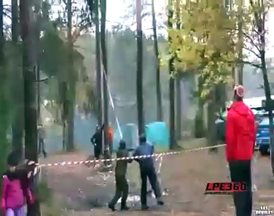 Cuttings A Tree