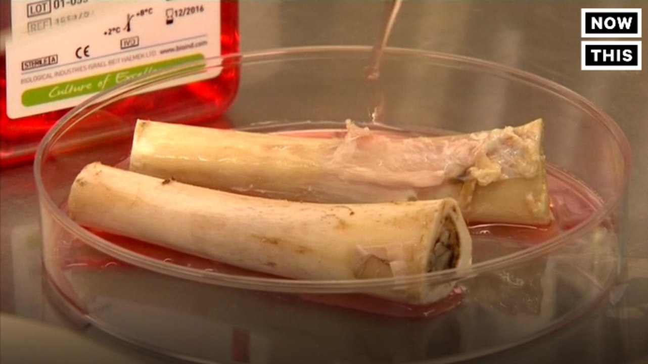 These Bones Were Grown in a Lab