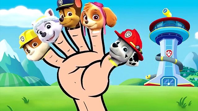 A FAMILIA DOS DEDOS PATRULHA CANINA FILHOTES FAMILY FINGERS PAW PATROL PUPS