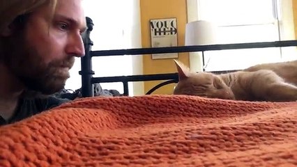 Un homme se venge de son chat qui l’a réveillé au milieu de la nuit