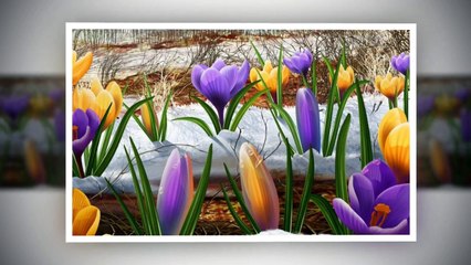 с днем весны