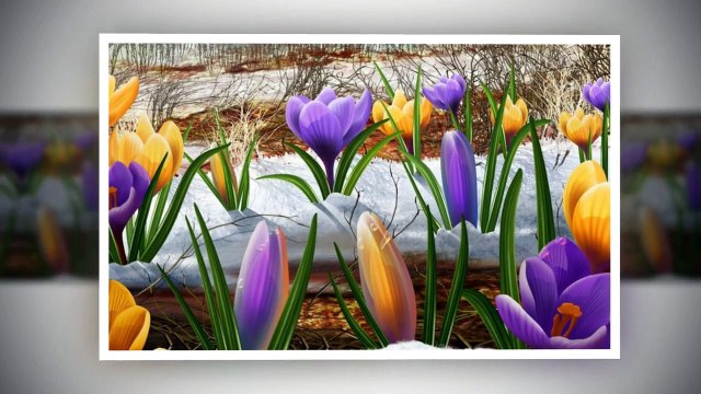 с днем весны