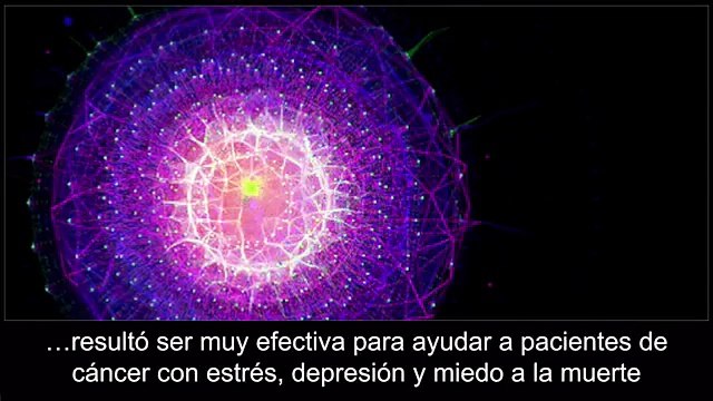 Hongos psicodélicos ayudan a los pacientes con cáncer a superar el miedo a la muerte