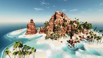 Vol au dessus d'un nid de coco