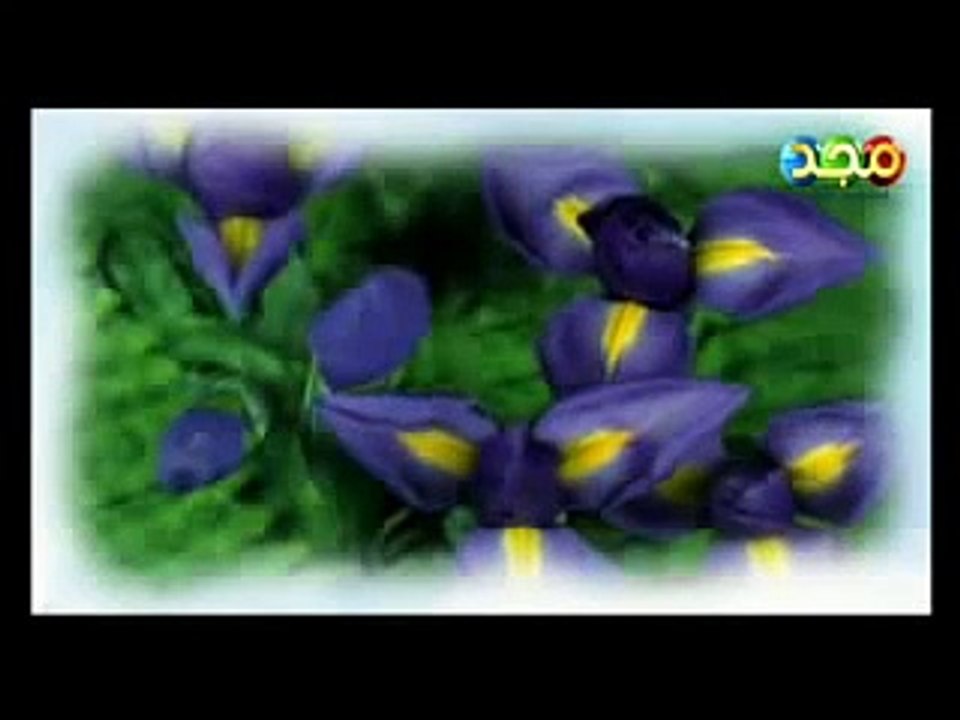 ---اناشيد الثقة -7