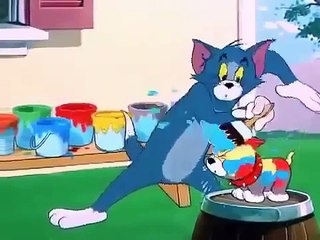 Tom And Jerry Cartoon in Urdu