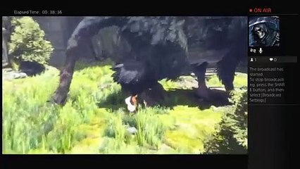 Last guardian first try! (27)