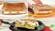 Sandwich Recipes, Healthy easy recipies For Weight Loss in 10 days. Have a happy life.