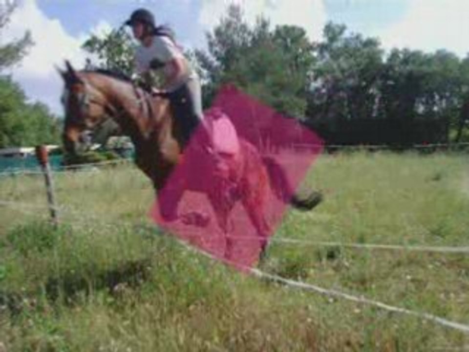 Les chevaux de mon centre