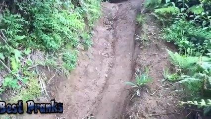 Funny videos 2016 very funny fails ever try not to laugh challenge(720p) (1)
