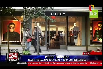 Perro se da la gran vida en Nueva York