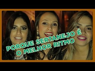 O SERTANEJO NA VIDA DOS FÃS