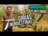 GÍRIAS E EXPRESSÕES NORDESTINAS | AMIGO GRINGO NO INTERIOR #4