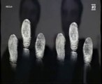 Gemelos identicos: ADN y huellas dactilares distintos