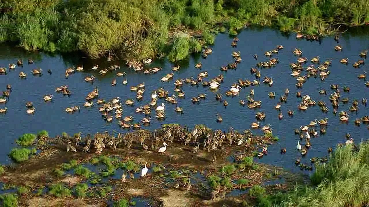 Between.Flood.and.Frost.