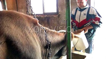 Makinat mjelëse vetëm për militantët partiakë