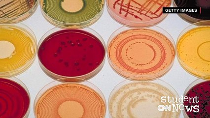 CNN Student News - December 7, 2016 - English Sub