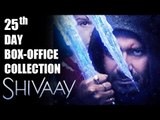Ajay Devgns Shivaay To Enter 100 Crore Club | SHIVAAY 25th Day Collections