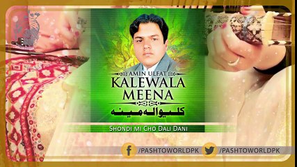 Pashto New Songs 2017 Ameen Ulfat Volume 712 - Shondi mi Cho Dali Dani