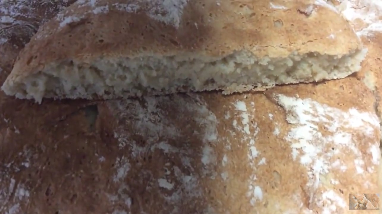 Brood