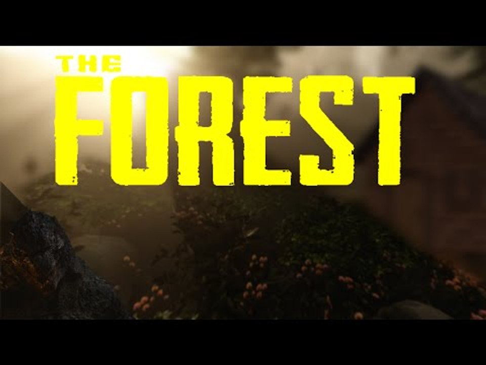The Forest!