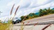 Audi Q5 SUV  2017_ 2018 review _ Mat Watson Reviews-w71-k5LRMQI