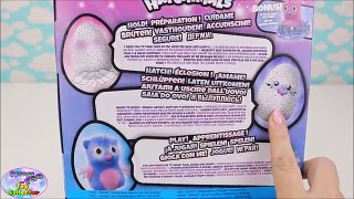 HATCHIMALS OWLICORN Whats Inside? Hatch Day Toys R Us Exclusive Surprise Egg and Toy Collector SETC