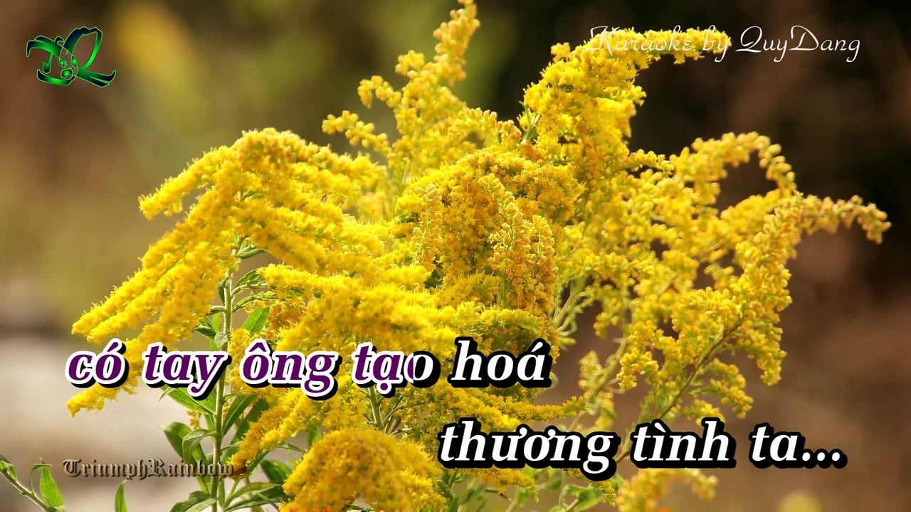 Lính Dù Lên Điểm | Đoàn Phi - Ánh Minh | Karaoke Beat HD