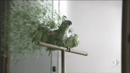 tantissimi auguri per un felicissimo compleanno Nunzia!