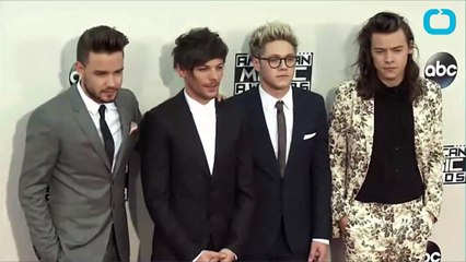 Niall Horan Dismisses Selena Gomez Rumors