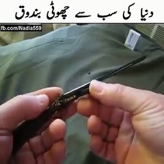 World's Tiniest (Smallest) Rilfe