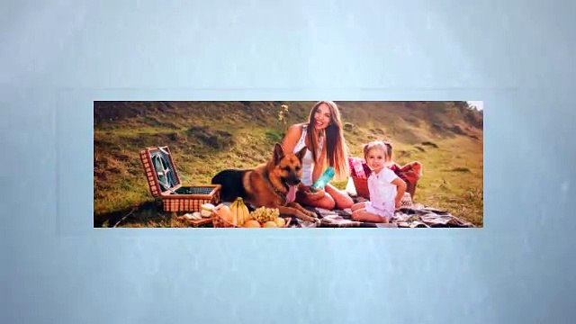 Personal Protection Dogs For Sale