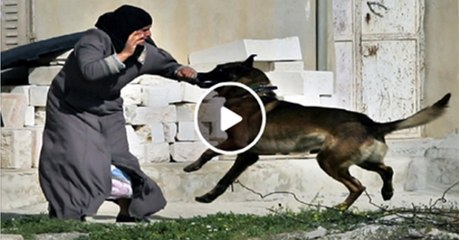 Israeli Defense Force (IDF) using attack dogs on Palestinian Women