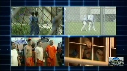 Jailing Public For Money