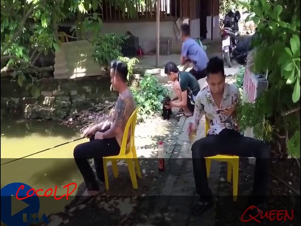 New Funny Videos