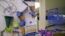 Une machine de Rube Goldberg de 412 étapes ? Record du monde !