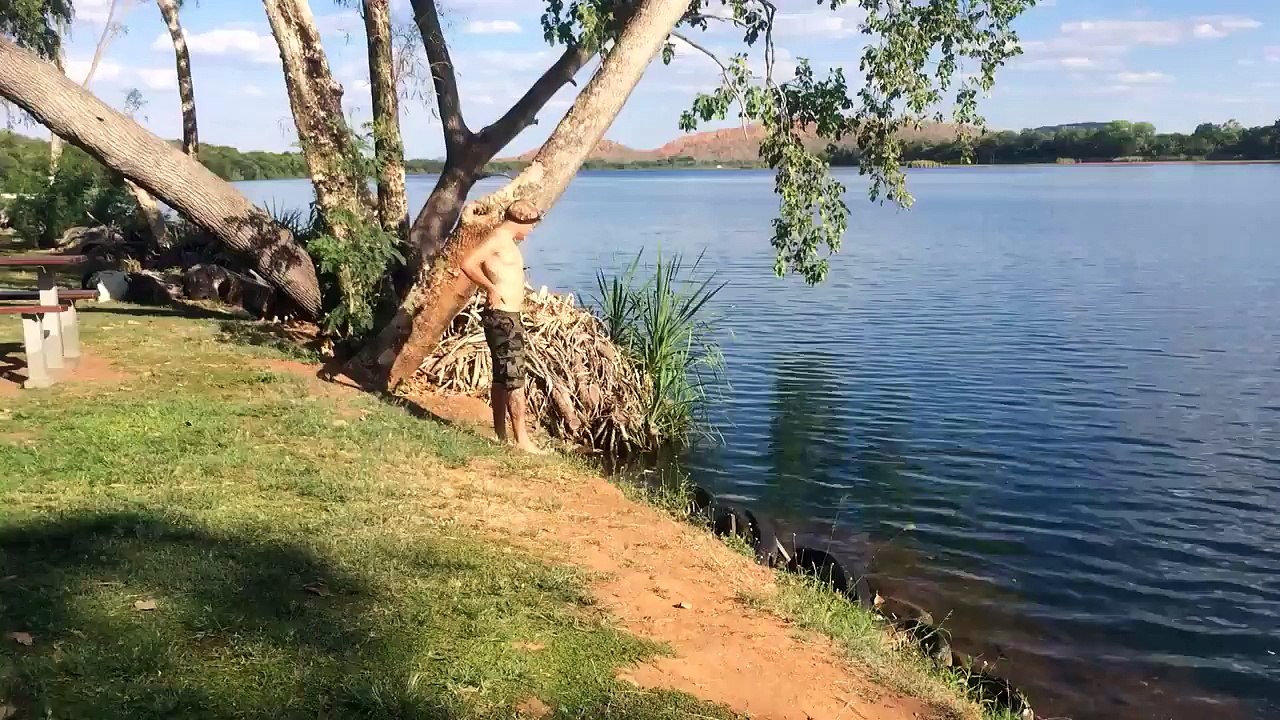 Nager avec des crocodiles... Taré