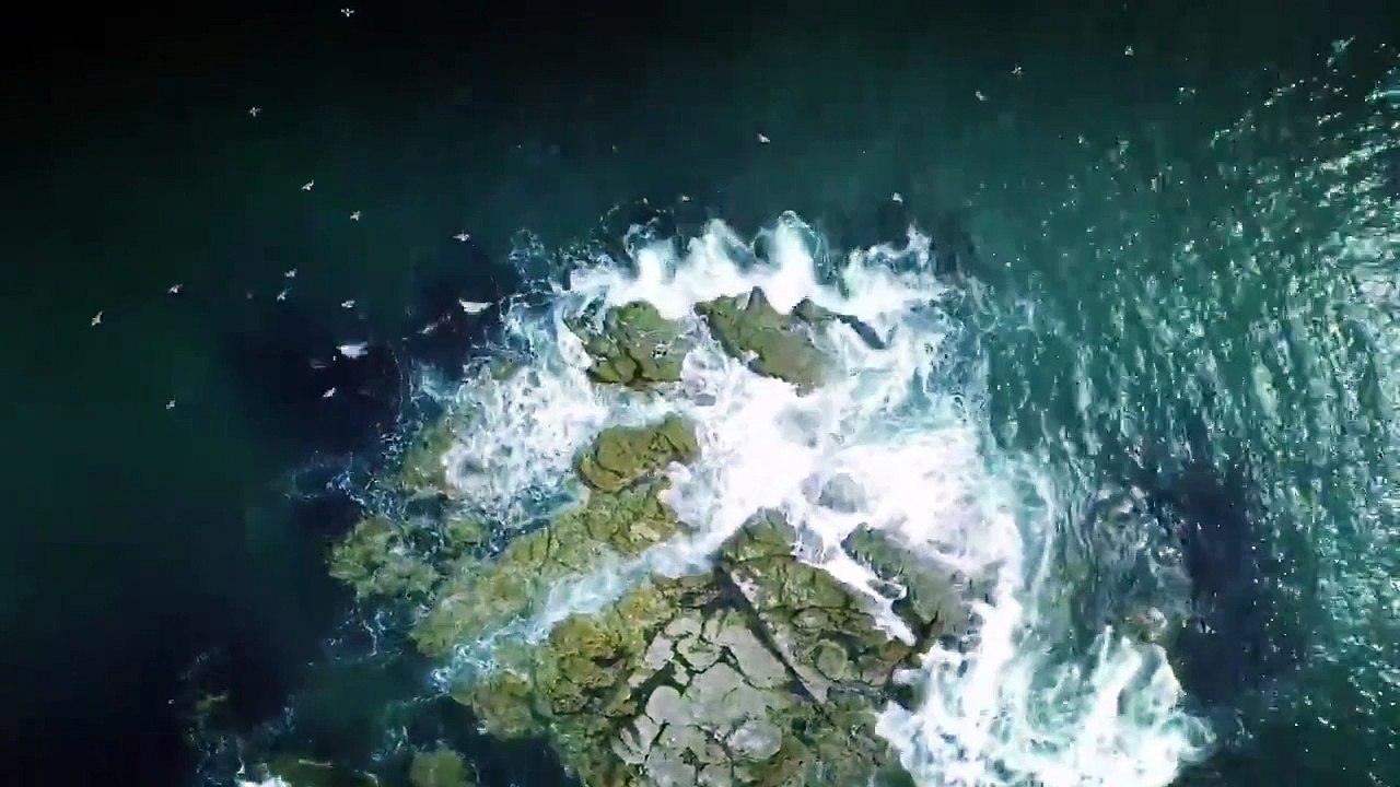 【See China】City Dalian