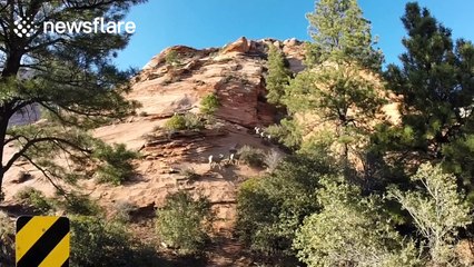 The road to Utah's Zion National Park is stunning