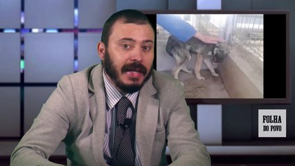 IMPRESSIONANTE reação de um cão MALTRATADO a uma carícia :(