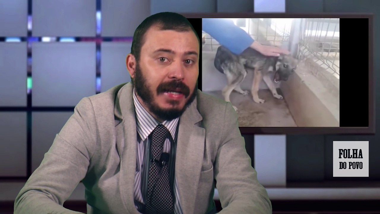 IMPRESSIONANTE reação de um cão MALTRATADO a uma carícia :(