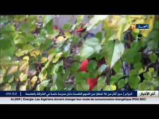 الحماية المدنية تنقذ عجوزا بواد شايح بعد أن حاصرتها مياه الأمطار