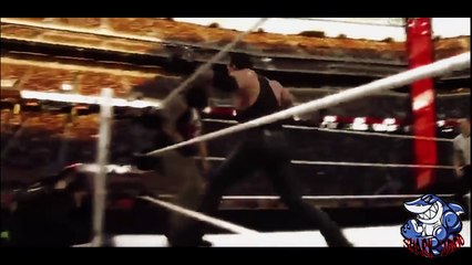 Undertaker vs Bray wyatt Wrestlemania 31 Highlights HD