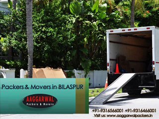 Call For Packers & Movers in Bilaspur HP To Shift Easily