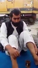 ffunny pathan snging birds